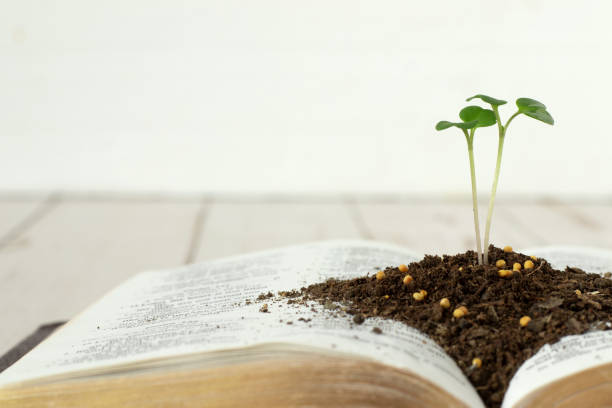 Decorative image of an Open Bible
