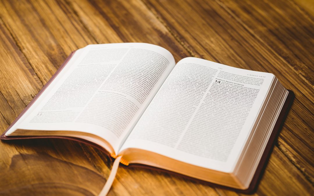 Decorative image of an Open Bible